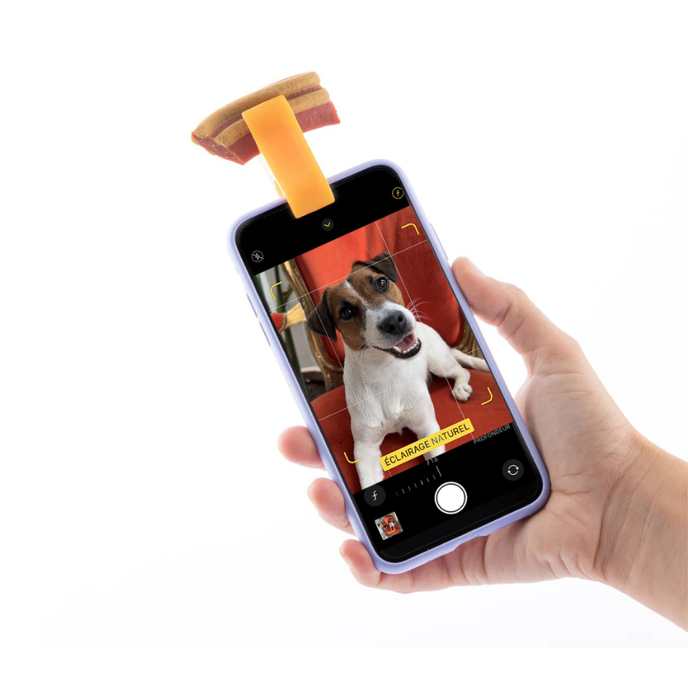 Accessoire selfie pour chien